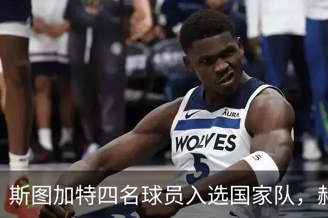 斯图加特四名球员入选国家队，赫内斯呼吁更多球员应被重视