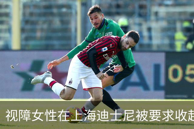 视障女性在上海迪士尼被要求收起盲杖，引发关注
